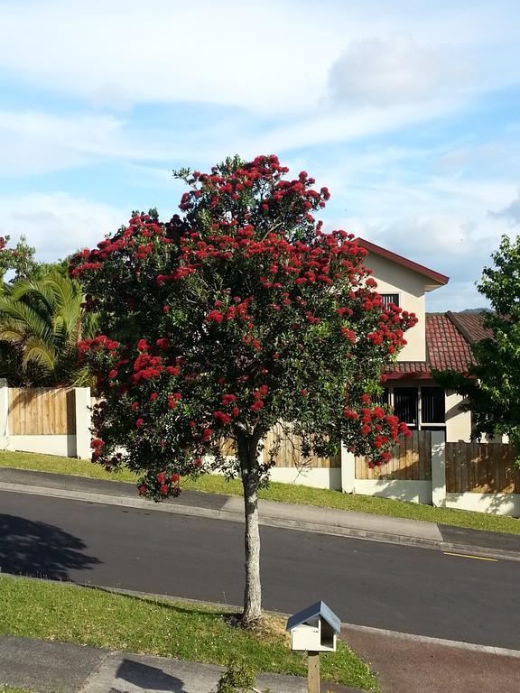 Lush & Co Auckland Bed & Breakfast Екстер'єр фото