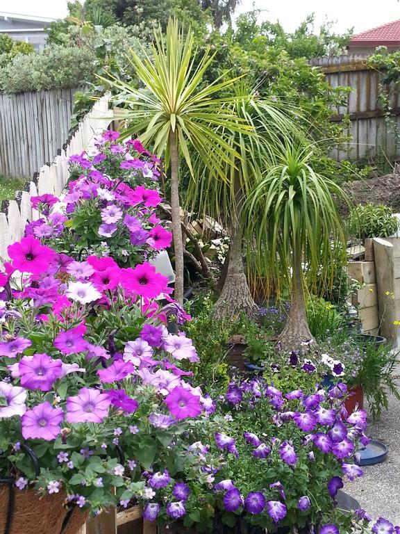 Lush & Co Auckland Bed & Breakfast Екстер'єр фото