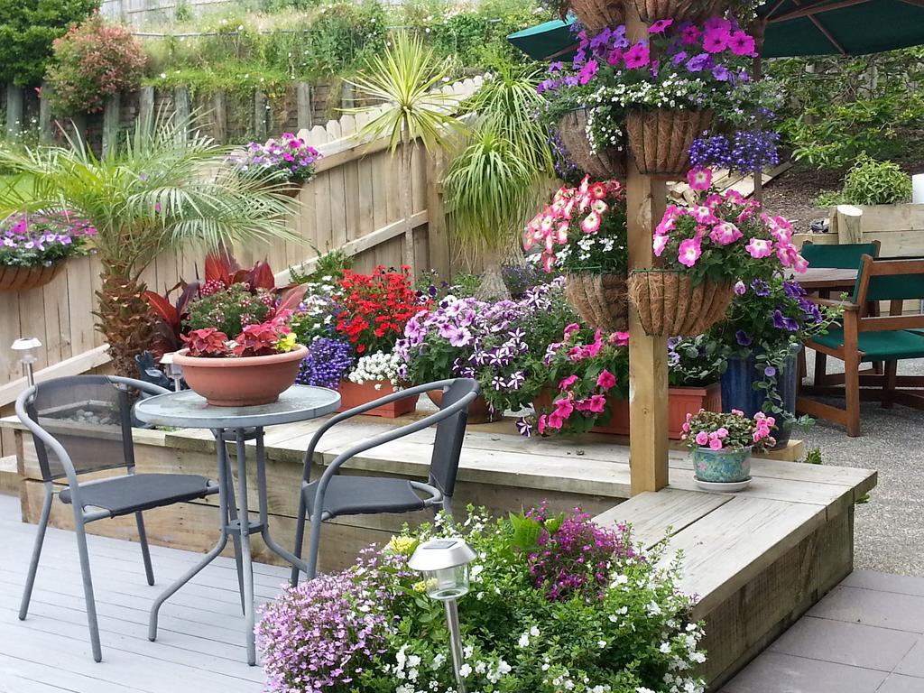 Lush & Co Auckland Bed & Breakfast Екстер'єр фото