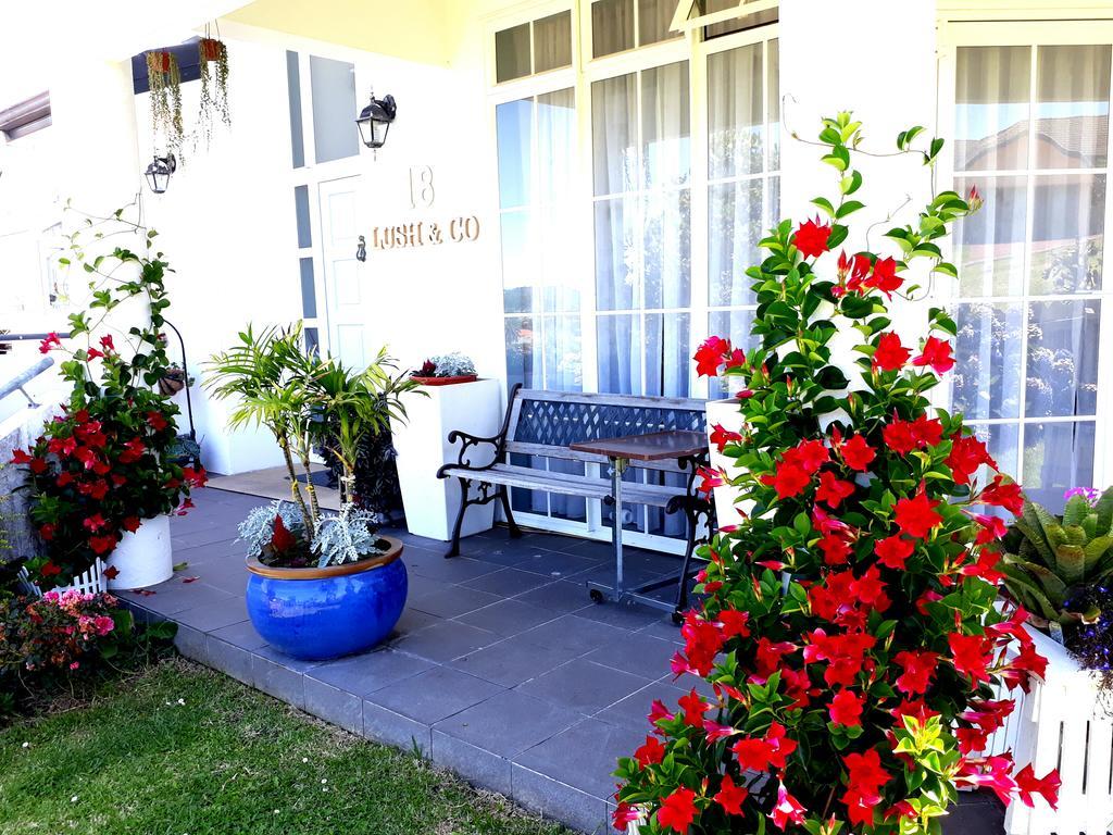 Lush & Co Auckland Bed & Breakfast Екстер'єр фото