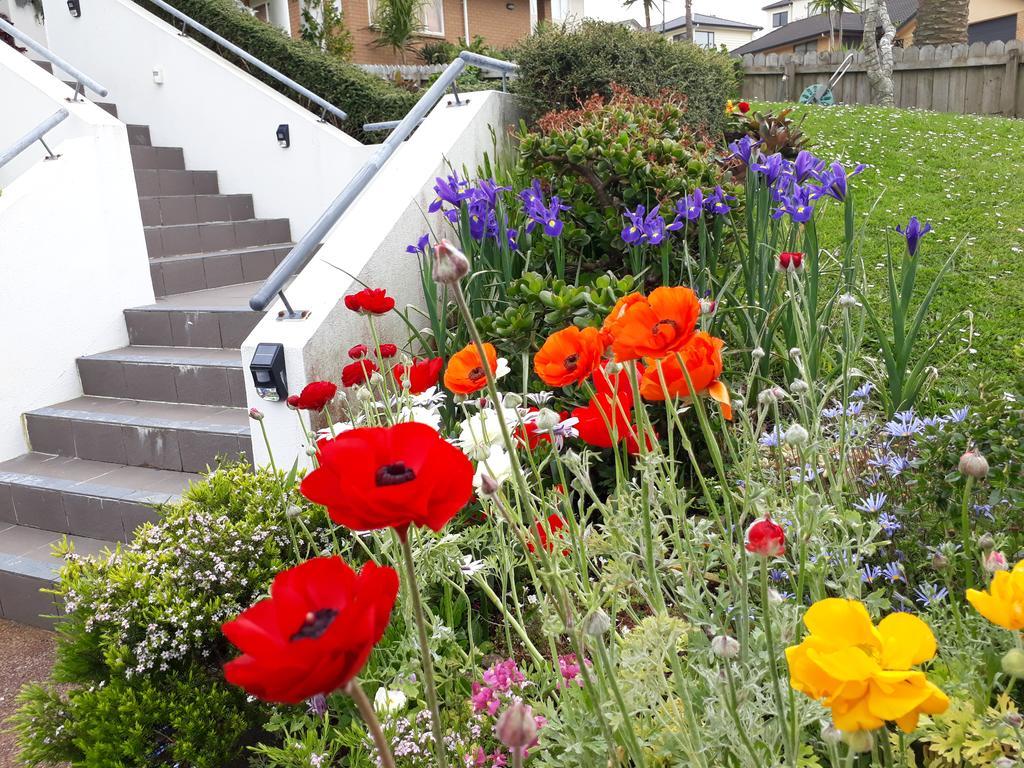 Lush & Co Auckland Bed & Breakfast Екстер'єр фото